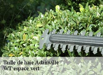 Taille de haie  adainville-78113 WT espace vert 