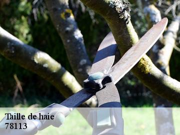 Taille de haie  78113