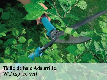 Taille de haie  adainville-78113 WT espace vert 