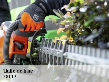 Taille de haie  adainville-78113 WT espace vert 