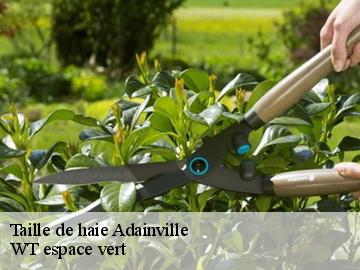 Taille de haie  adainville-78113 WT espace vert 