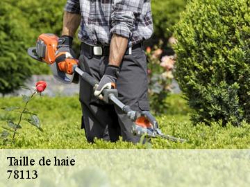 Taille de haie  adainville-78113 WT espace vert 