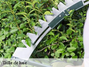 Taille de haie  adainville-78113 WT espace vert 