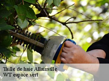 Taille de haie  allainville-78660 WT espace vert 