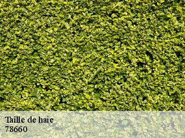 Taille de haie  allainville-78660 WT espace vert 