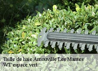 Taille de haie  arnouville-les-mantes-78790 WT espace vert 