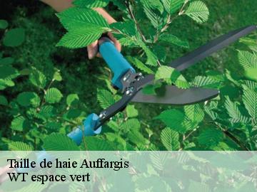 Taille de haie  auffargis-78610 WT espace vert 