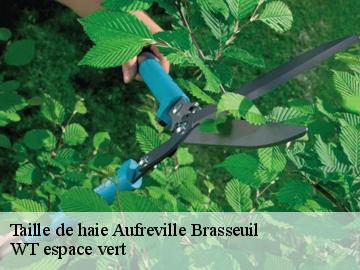 Taille de haie  aufreville-brasseuil-78930 WT espace vert 