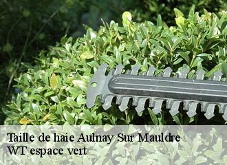 Taille de haie  aulnay-sur-mauldre-78126 WT espace vert 