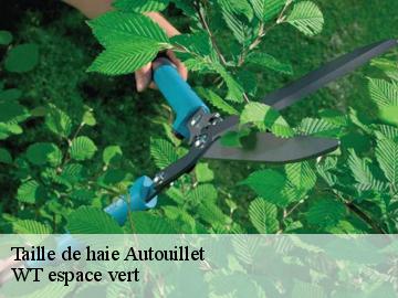 Taille de haie  autouillet-78770 WT espace vert 