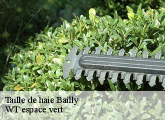 Taille de haie  bailly-78870 WT espace vert 