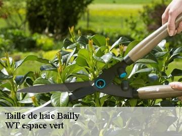 Taille de haie  bailly-78870 WT espace vert 