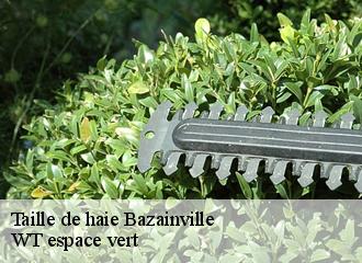 Taille de haie  bazainville-78550 WT espace vert 