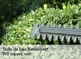 Taille de haie  bennecourt-78270 WT espace vert 