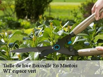 Taille de haie  boinville-en-mantois-78930 WT espace vert 