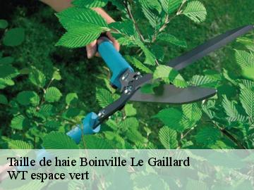 Taille de haie  boinville-le-gaillard-78660 WT espace vert 