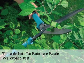 Taille de haie  la-boissiere-ecole-78125 WT espace vert 