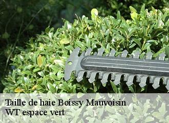 Taille de haie  boissy-mauvoisin-78200 WT espace vert 