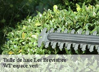 Taille de haie  les-breviaires-78610 WT espace vert 