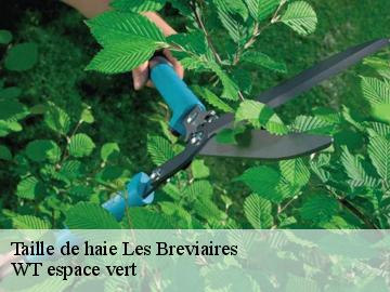 Taille de haie  les-breviaires-78610 WT espace vert 