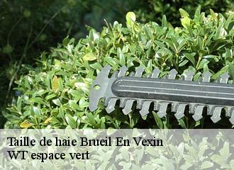 Taille de haie  brueil-en-vexin-78440 WT espace vert 