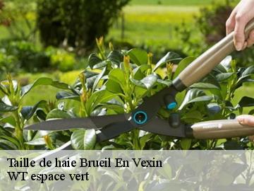 Taille de haie  brueil-en-vexin-78440 WT espace vert 