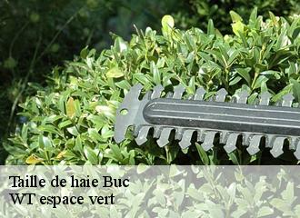 Taille de haie  buc-78530 WT espace vert 