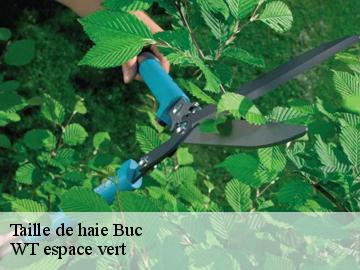 Taille de haie  buc-78530 WT espace vert 