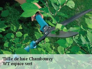 Taille de haie  chambourcy-78240 WT espace vert 