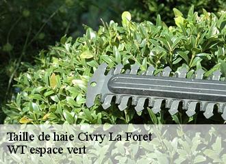 Taille de haie  civry-la-foret-78910 WT espace vert 