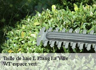 Taille de haie  l-etang-la-ville-78620 WT espace vert 