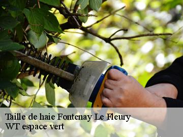 Taille de haie  fontenay-le-fleury-78330 WT espace vert 