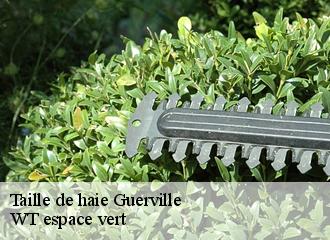 Taille de haie  guerville-78930 WT espace vert 