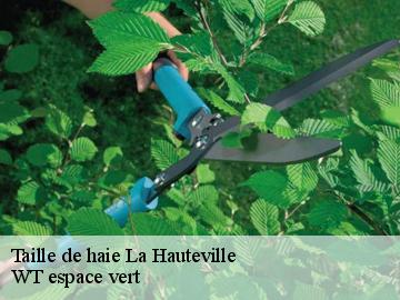 Taille de haie  la-hauteville-78113 WT espace vert 