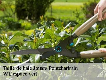 Taille de haie  jouars-pontchartrain-78760 WT espace vert 