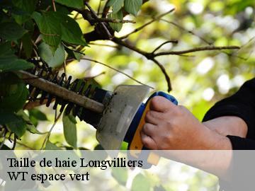 Taille de haie  longvilliers-78730 WT espace vert 