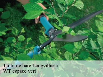 Taille de haie  longvilliers-78730 WT espace vert 