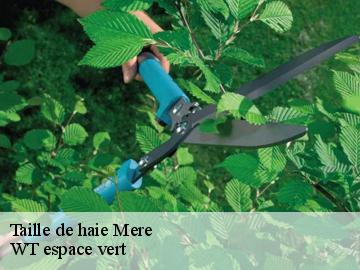 Taille de haie  mere-78490 WT espace vert 