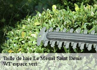 Taille de haie  le-mesnil-saint-denis-78320 WT espace vert 