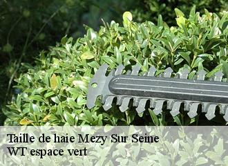 Taille de haie  mezy-sur-seine-78250 WT espace vert 