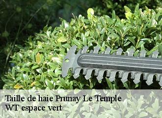 Taille de haie  prunay-le-temple-78910 WT espace vert 