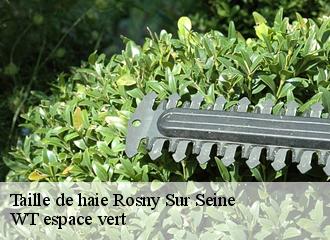 Taille de haie  rosny-sur-seine-78710 WT espace vert 