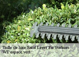 Taille de haie  saint-leger-en-yvelines-78610 WT espace vert 