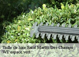 Taille de haie  saint-martin-des-champs-78790 WT espace vert 