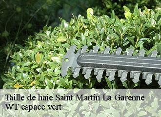 Taille de haie  saint-martin-la-garenne-78520 WT espace vert 