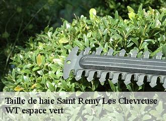 Taille de haie  saint-remy-les-chevreuse-78470 WT espace vert 