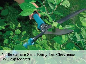 Taille de haie  saint-remy-les-chevreuse-78470 WT espace vert 