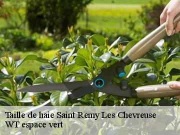 Taille de haie  saint-remy-les-chevreuse-78470 WT espace vert 