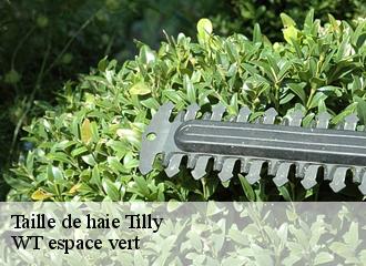 Taille de haie  tilly-78790 WT espace vert 