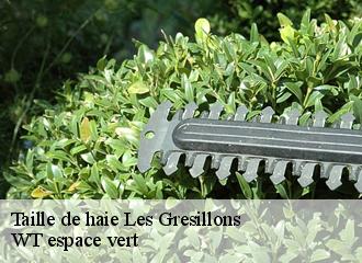 Taille de haie  les-gresillons-78955 WT espace vert 